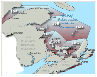 Carte des zones de pêche du hareng. Voir les détails ci-dessous"