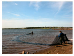 Beach seine deployment