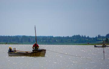 bateaux de pêche aux huîtres