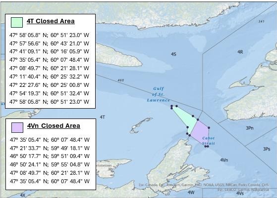 Carte montrant le golfe du Saint‑Laurent et le détroit de Cabot avec deux zones de fermeture de pêche ombrées : la zone fermée 4T en vert pâle au nord du détroit de Cabot et la zone fermée 4Vn en violet pâle au sud du détroit, avec les divisions de l’OPANO et les coordonnées des limites indiquées.
