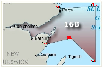 Herring Zone 16b
